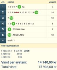 V64-Andelar (30/3): Mot Nästa Storvinst på V64!