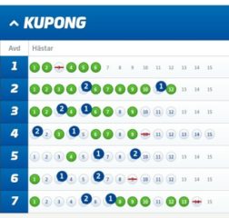 Fem Stycken V75-Andelsbolag med Systemförslag, Rättvik (5/8)