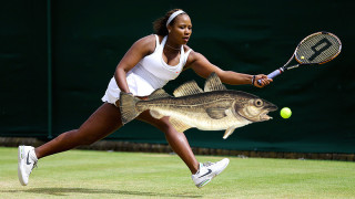 WTA Indian Wells: Taylor Townsend är tillbaka och det backas @2.12