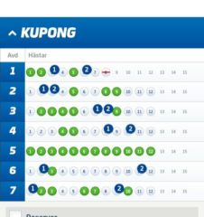 V75-Andelar (1/7), 350:-/Andel med Systemförslag