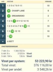 V86-Andelar (14/10): Mot Nästa Miljonvinst