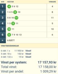 V64-Andelar med Jackpot (27/8): Mot Nästa Storvinst på V64!