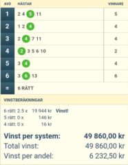 V64-Andelar (13/7): Mot Nästa Storvinst på V64!