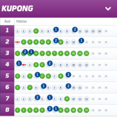 Fyra V86-Andelssystem med Systemförslag, Jägersro/Solvalla (13/9)
