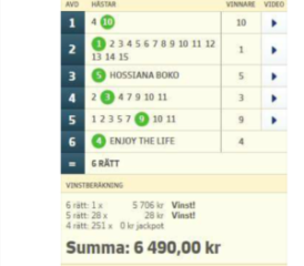 V64-Vinst: 6.490:-, Eskilstuna (15/1)