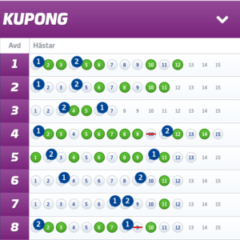 Tre V86-Andelsbolag med Systemförslag, Kalmar (6/6)