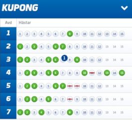 Fem V75-Andelsbolag med Systemförslag, Skellefteå (7/10)