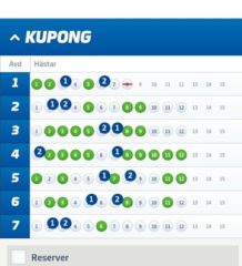 V75-Andelar (1/7), 550:-/Andel med Systemförslag