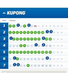 V75-Andelar (1/7), 165:-/Andel med Systemförslag