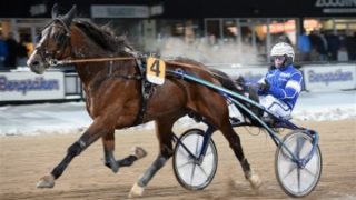 V86-Andelar, Solvalla (9/8)