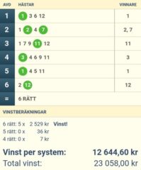 NY V64-Vinst, 23.058:- (12.644:-/system) - Mot Nya Slantar på V75