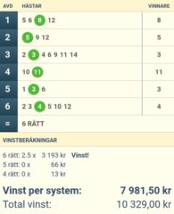 Ny Vinst V64 (15/1: Mot Jackpotslantarna på V75