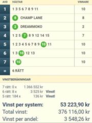 Ny Vinst på V75: 376.116:- (53.223:-/system) – Dags igen på GS75?