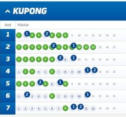 Fem V75-Andelsbolag med Systemförslag, Åby (12/8)