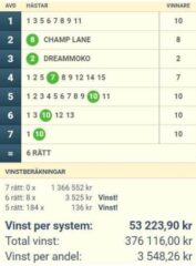 V86-Andelar (27/1): Mot Nästa Miljonvinst