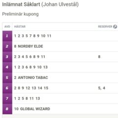 V86-Andelar: Mot Nästa Storvinst!