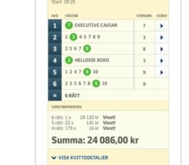 Vinst: 24.086:- på V64, Örebro (7/8)