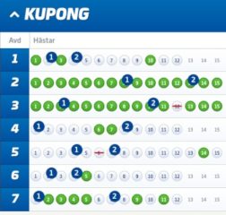 Fem V75-Andelsbolag med Systemförslag, Axevalla (23/7)