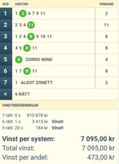 V75: NÄRA NÄRA STORA SLANTAR - TROTS DET EN DEL PENGAR TILLBAKA.