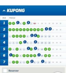 V75-Andelar (1/7), 1000:-/Andel med Systemförslag