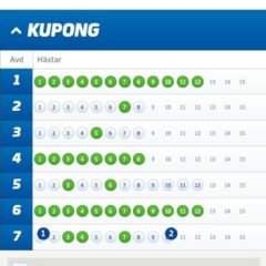 V75-Andelar (6/7), 165:-/Andel med Systemförslag