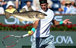 ATP Indian Wells: Del Potro får faktiskt mitt förtroende mot Berdych @2.37