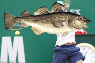 ATP Miami: Lucas Pouille spelas till fina @4 ggr fläsket som Gilles Simon