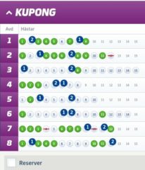 V86-Andelar (5/7), 350:-/andel med Systemförslag