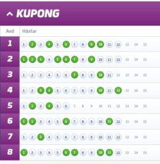 Fyra V86-Andelsbolag med Systemförslag, Solvalla (2/8)