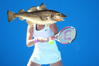WTA San Antonio: Het Ostapenko backas -3.5 games @1.98