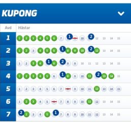 Fyra V75-Andelsbolag med Systemförslag, Romme (20/1)