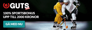 NHL 19e. Endast spel.