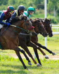 En dag på Täby Galopp