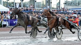 Inför: V75 Mastersfinalen