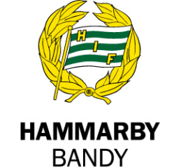 Spel till Sirius – Hammarby Bandy