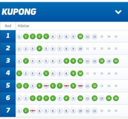 Fyra V75-Andelsbolag med Systemförslag, Bergsåker (25/8)