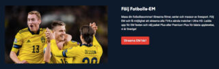 Danmark – Belgien live stream & tips fotbolls-EM 17/6